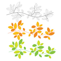 Fototapeta premium Vector graphics of leaves at the root of model number 4 with different colors and line art on a white background