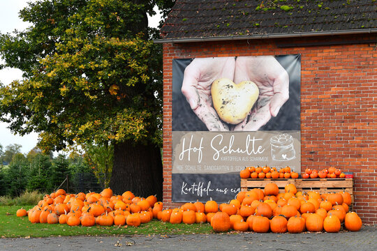 Germany, Scharmede, October 12. 2024, sign on the barn regarding the farm sale of pumpkins, potatoes and eggs, Hof Schulte 