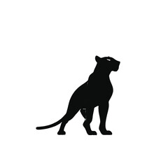 Obraz premium Adobe Illustrator Artwork