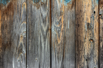 Fototapeta premium Old wooden background, with remnants of blue paint, with cracks and nails.