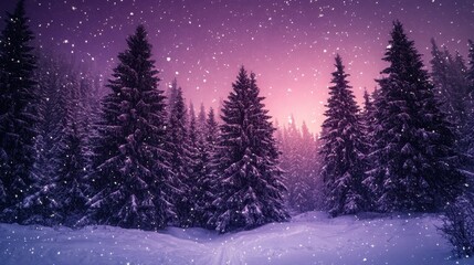 The Serene Winter Forest