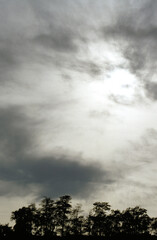 Fototapeta premium Goldener Herbst