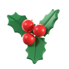 Christmas mistletoe for ornament. 3d illustration