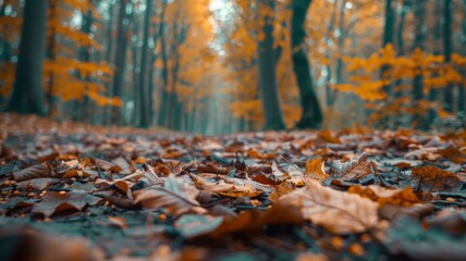 Enchanted Autumn Forest: Fallen Leaves and Misty Pathway in Bokeh