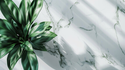 White Marble Texture Grandeur, Minimalist Realism, Wide-Angle splendor, Clean Bright Lighting, Fresh Modern Ambiance for Widescreen Wallpaper