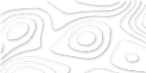 papercut background concept geometric abstract background, abstract.3d realistic papercut decoration textured with wavy layers, Geographic mountain relief diagram line wave carve pattern.	