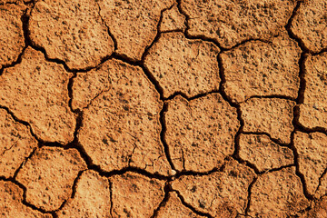 Arid Land And Lack Of Water