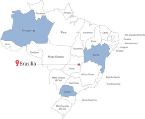 Brazil map infographic elements with flag total areas Currency Language Capital city