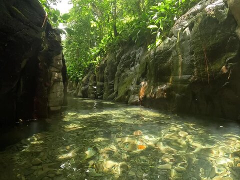 Canyon of Riviere Moustique in petit Bourg, Basse terre, Guadeloupe. Scenic caribbean nature landscape in lesser antilles, river through a canyon in the jungle