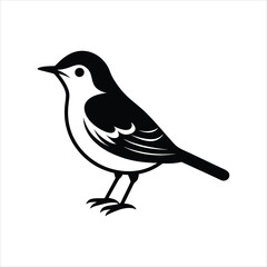 Obraz premium illustration of a bird