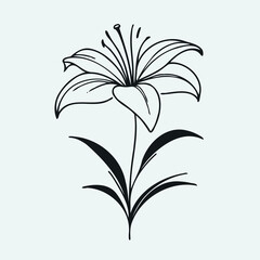 lilies sketch, lily flower
illustration outline of a flower
black and white line art, lineart
set of contour flower, line art of flowers, leaves