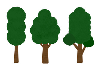 green tree isolated on white vector