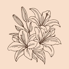 Adobe Illustrator Artwork
lilies sketch, lily flower
set of flowers vector
illustration outline of a flower
black and white line art, lineart
