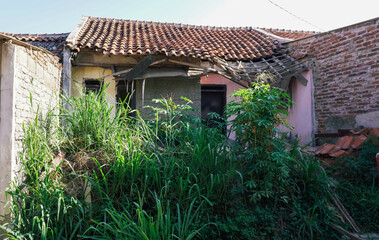 Overgrown plants surrounding an abandoned house with a damaged roof. Nature reclaiming urban space