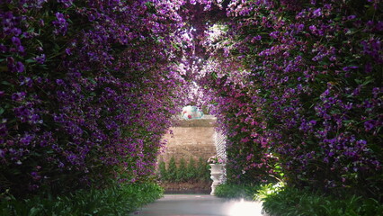 Fototapeta premium Beautiful garden walkway lined with vibrant purple flowers, leading to tranquil stone bench in distance. Serenity and Nature.