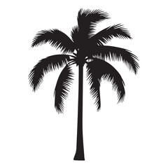 Fototapeta premium palm tree silhouette vector illustration, plams, coconut tree symbol