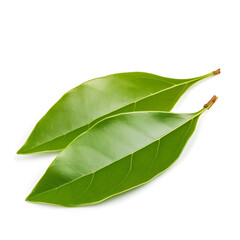 Fototapeta premium Bay leaf isolated