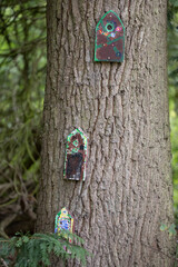 trees with fair house doors in the woods