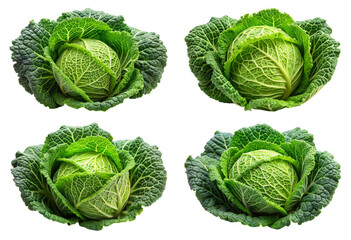 Fototapeta premium Set of cabbage png