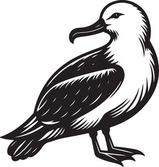 Seabird vector illustration design