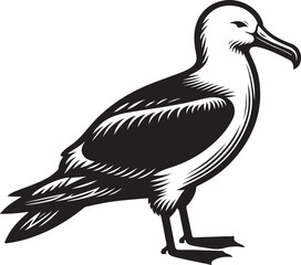 Seabird vector illustration design