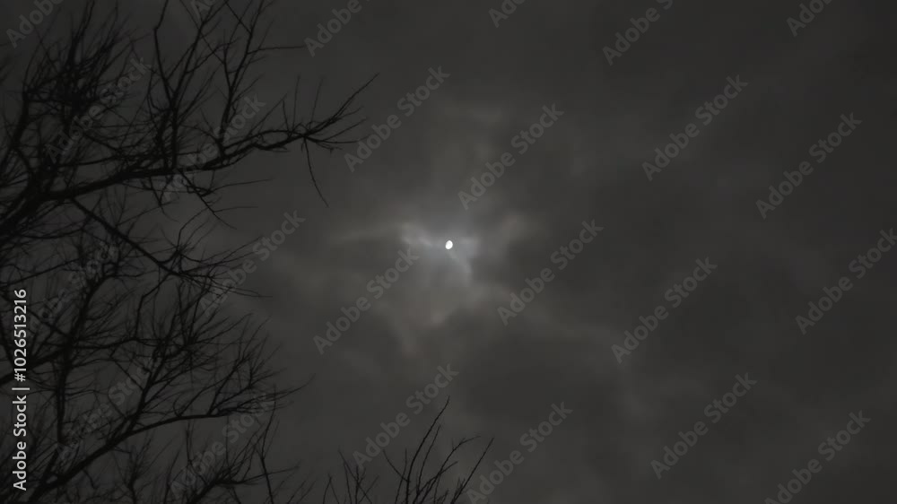 Wall mural night cloudy sky with the moon behind the flying clouds. solid translucent clouds in the moonlight a