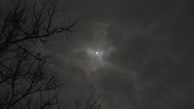 Night cloudy sky with the moon behind the flying clouds. Solid translucent clouds in the moonlight and tree branches. Timelapse shooting of real skyscape