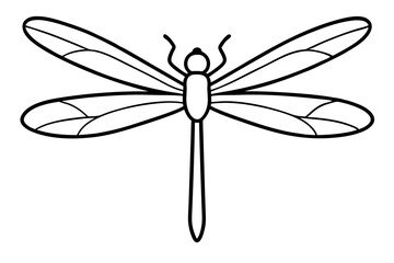 dragonfly on a white background