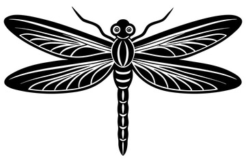 dragonfly illustration