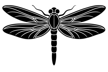 dragonfly illustration