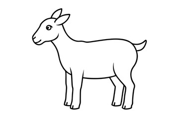 goat on white background