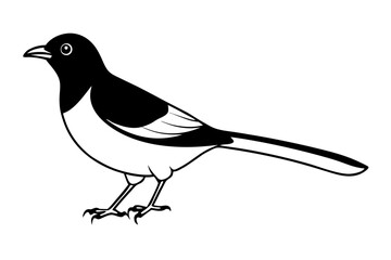 illustration of a bird