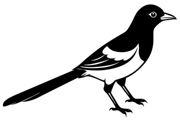 crow on a white background