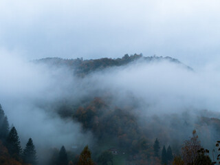 Misty fall Carpathian Mountains fog landscape. Village in Transcarpathia region Foggy spruce forest Contrasting white clouds dark green pine trees scenic view, Europe. Autumn countryside. Eco tourism.
