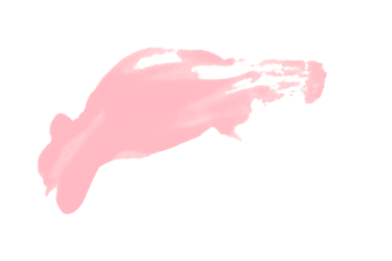 Isolated pink brush stroke on transparent background.