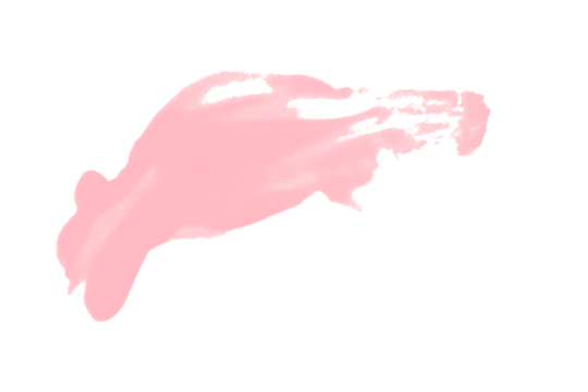 Isolated pink brush stroke on transparent background.