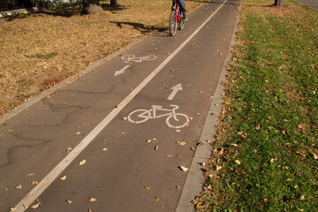 Bike path in the park. Special passage for bicycles.