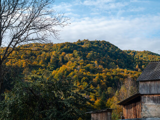 Village Transcarpathia region scenic Sunny Carpathian mountains view Ukraine, Europe. Autumn countryside rural landscape. Fall spruce pine trees lush foliage Eco Local tourism hiking Recreational area