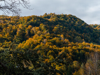 Village Transcarpathia region scenic Sunny Carpathian mountains view Ukraine, Europe. Autumn countryside rural landscape. Fall spruce pine trees lush foliage Eco Local tourism hiking Recreational area