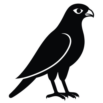 recommend clip art: Solid color Sparrowhawk animal vector design