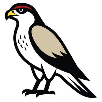 recommend clip art: Solid color Sparrowhawk animal vector design