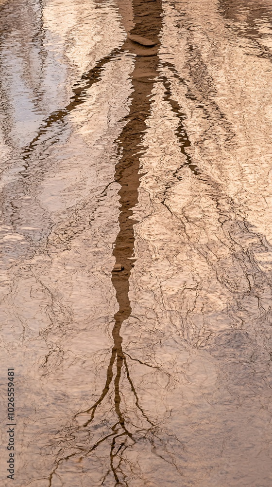 Poster abstract reflection of a tree in a calm pond.