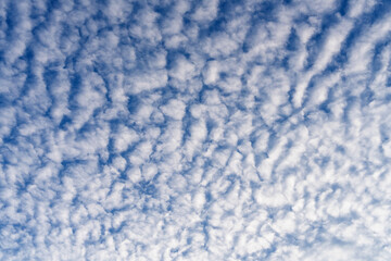 white clouds covering the blue sky