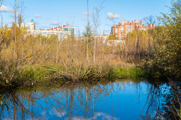 Swamp in city park with high rise buildings in background