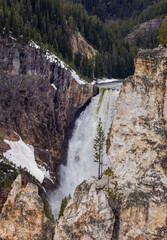 Stunning Waterfall in Yellowstone National Park, Wyoming