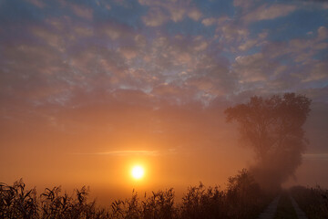 Obraz premium Sonnenaufgang mit Frühnebel