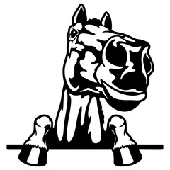Peeking Horse - Funny Farm Animal - Animal Stencil Cut Files