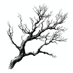 Obraz premium Gnarled branches with photocopy effect and grunge stippling texture. Y2K vector illustration for posters and t-shirts.