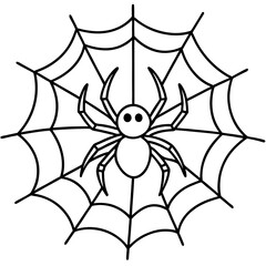 spider on web