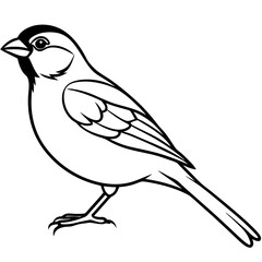 sketch of a bird